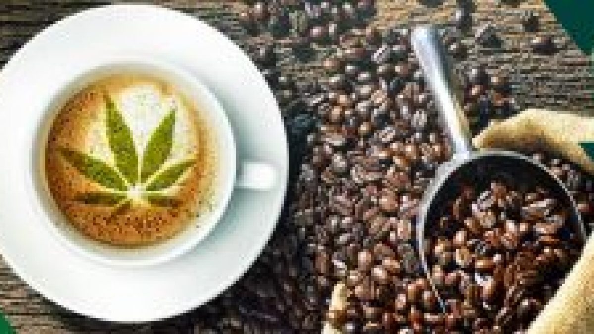 Green Canopy Shop - votre boutique CBD en ligne