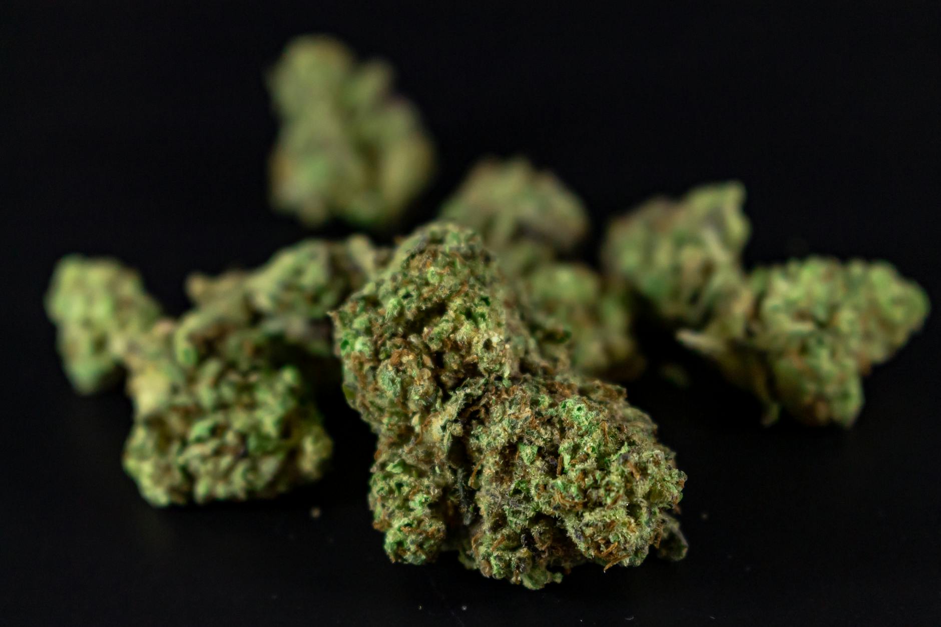 Résine CBD GoldBar420 : L’Excellence du Hasch Marocain Disponible sur Green Canopy Shop