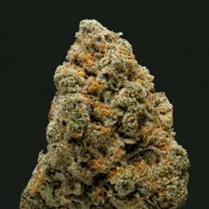 Photo de fleurs Amnesia Indoor premium de GreenCanopy avec des têtes compactes, résineuses et couvertes de trichomes.