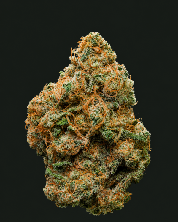 Photo de fleurs Fear Of God Indoor de GreenCanopy avec des têtes denses, résineuses et recouvertes de trichomes brillants.