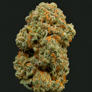 Photo de fleurs Squeezy CBD de GreenCanopy avec des têtes compactes, résineuses et riches en trichomes brillants.