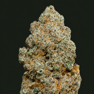 Photo de la variété Mela Sour Indoor, gagnante du Spannabis, présentant des fleurs compactes, très résineuses et couvertes de trichomes brillants.