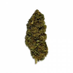 Fleur de CBC Amnezia – Chanvre premium riche en Cannabichromene