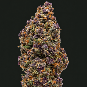 Photo de fleurs Pink Void CBD Indoor de GreenCanopy avec des têtes denses, résineuses et aux nuances vertes et rosées.