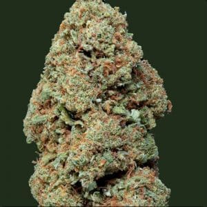 Fleur de CBD Blueberry Muffin Greenhouse Weened – goût fruit rouge et muffin, culture sous serre