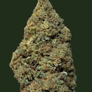 Fleur CBD Gelato Greenhouse Weened, goût sucré et crémeux, culture sous serre