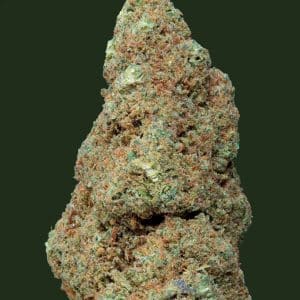 Fleur de CBD Gorilla Mandarine Greenhouse Weened – goût agrumes, mandarine et bois, culture greenhouse