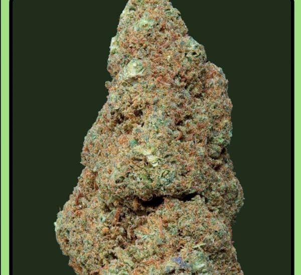 Fleur de CBD Gorilla Mandarine Greenhouse Weened – goût agrumes, mandarine et bois, culture greenhouse