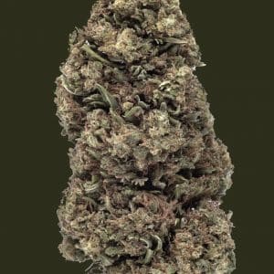 Fleur de CBD Mela Sour Outdoor de la marque Weened, arôme fruité et culture naturelle
