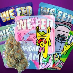 Pack Découverte CBD Weened avec 5 sachets de fleurs premium – 10g au total
