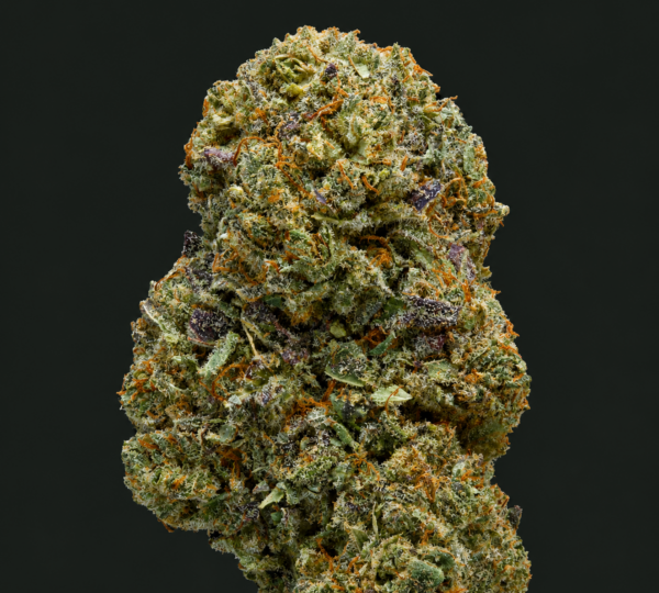 Photo de fleurs Uranium Indoor CBD de GreenCanopy avec des têtes compactes, résineuses et riches en trichomes cristallins.