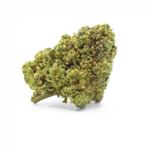 Fleur de CBC Tropical Kush – Chanvre légal aux arômes tropicaux
