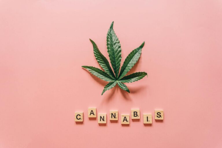 Guide complet : découvrir le CBD en toute sécurité – usage, choix et réglementation en France