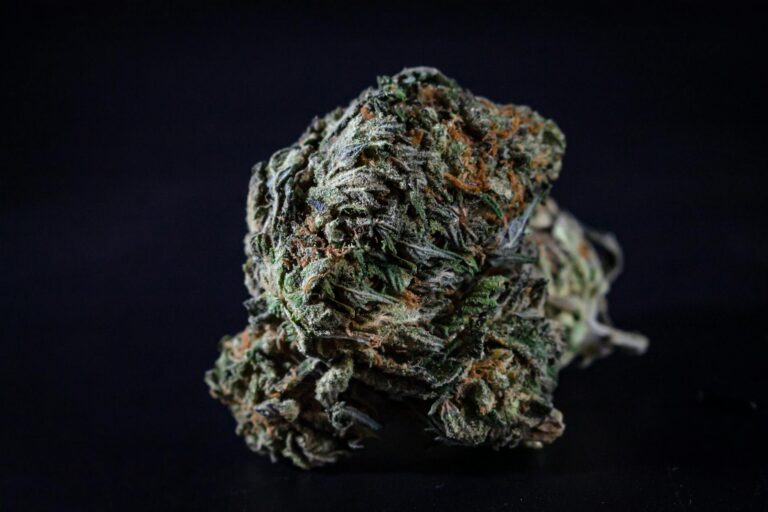 Amnesia CBD Premium : Une Expérience Sensorielle Unique