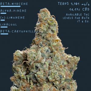 Fleur CBD Burn Baby Burn Indoor riche en CBC, effet high naturel