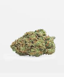 Fleur OG Kush CBC indoor – tête compacte de chanvre légal riche en Cannabichromène