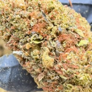 Fleur de CBD Skywalker Greenhouse Premium, têtes compactes et résineuses cultivées sous serre, arômes fruités et détente naturelle – GreenCanopy-Shop.