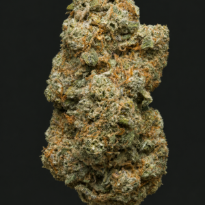 Photo de fleurs Solero Cream CBD de GreenCanopy avec des têtes denses, résineuses et couvertes de trichomes lumineux.