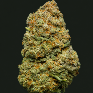 Photo de fleurs Orange Martini CBD de GreenCanopy avec des têtes compactes, orangées et riches en trichomes.
