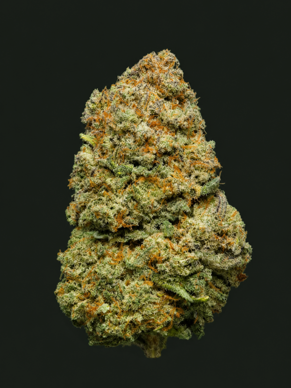 Photo de fleurs Orange Martini CBD de GreenCanopy avec des têtes compactes, orangées et riches en trichomes.