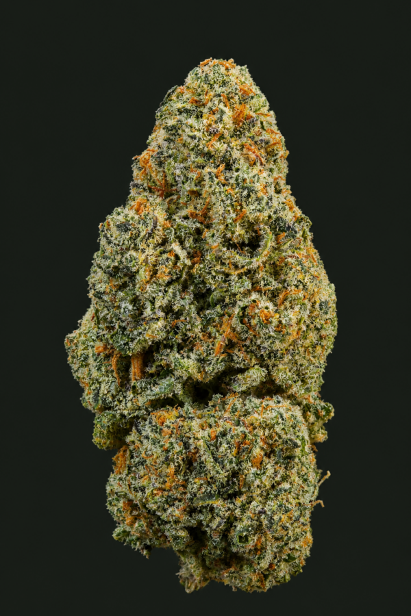 Photo de fleurs Snowing In Dam Indoor CBD de GreenCanopy avec des têtes denses, très résineuses et couvertes de trichomes blancs.