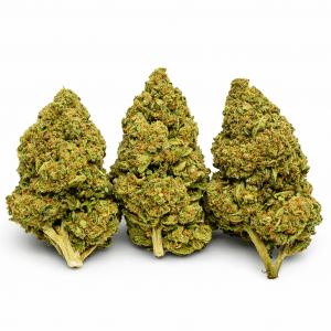 Fleur Bubba Kush THV CBD aux notes terreuses avec effet high relaxant
