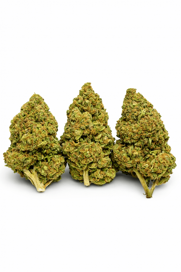Fleur Bubba Kush THV CBD aux notes terreuses avec effet high relaxant