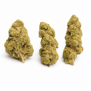 Gros plan d’une fleur White Runtz THV Légendre, compacte, très résineuse, aux teintes vert clair et pistils orangés.