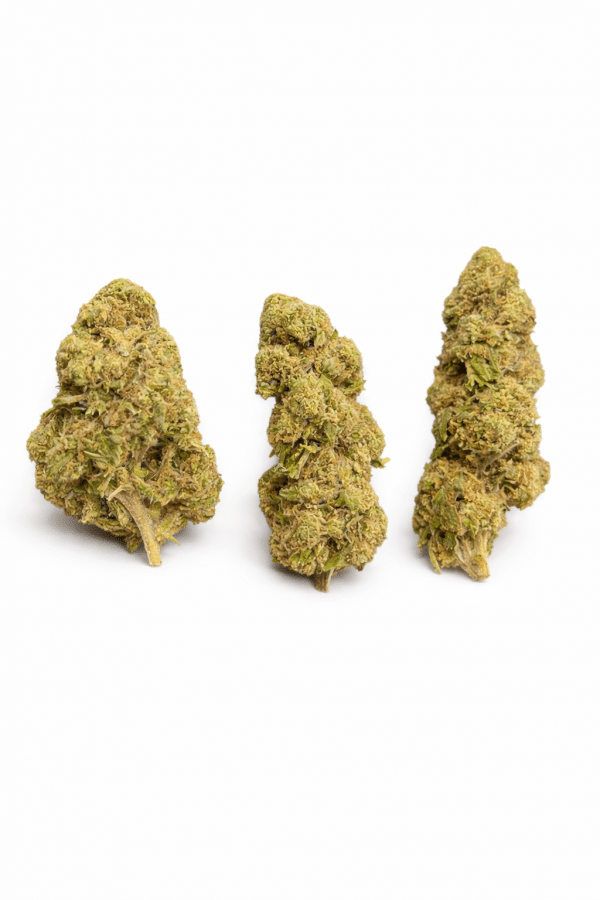Gros plan d’une fleur White Runtz THV Légendre, compacte, très résineuse, aux teintes vert clair et pistils orangés.