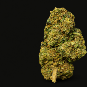 Fleur Zombie Kush CBC compacte et résineuse aux nuances vert foncé et violettes proposée par GreenCanopy
