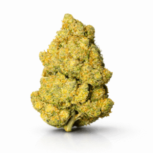 Fleur Amnesia CBC indoor avec têtes compactes et résineuses aux notes citronnées.