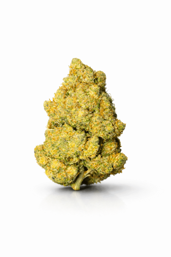 Fleur Amnesia CBC indoor avec têtes compactes et résineuses aux notes citronnées.
