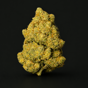 Amnesia Indoor CBC premium cultivée en intérieur, fleur CBC aux arômes citronnés, floraux et épicés