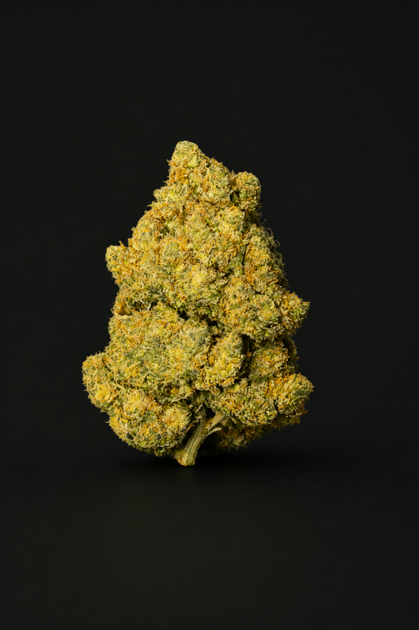 Amnesia Indoor CBC premium cultivée en intérieur, fleur CBC aux arômes citronnés, floraux et épicés