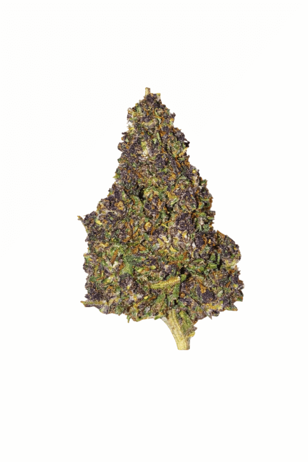 fleur cbc purple strawberry premium têtes violettes résineuses