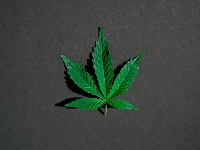High++