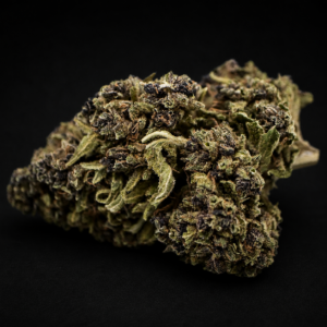 fleur cbd purple strawberry greenhouse violette fraise premium gros plan