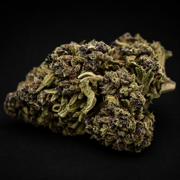 fleur cbd purple strawberry greenhouse violette fraise premium gros plan