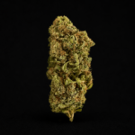 Mango Haze