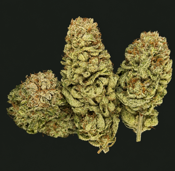 White Banger CBC fleur CBD premium ultra résineuse avec têtes denses couvertes de trichomes et riche en terpènes