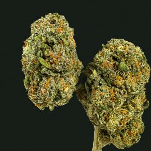 Berry Pie CBC Premium, fleur de chanvre CBC aux têtes compactes, résineuses et aux arômes de fruits rouges et de baies.