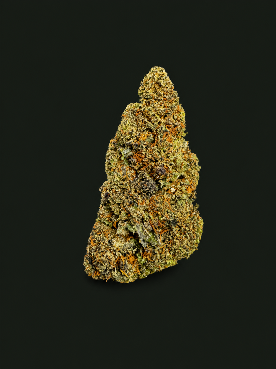 Cheetah CBC