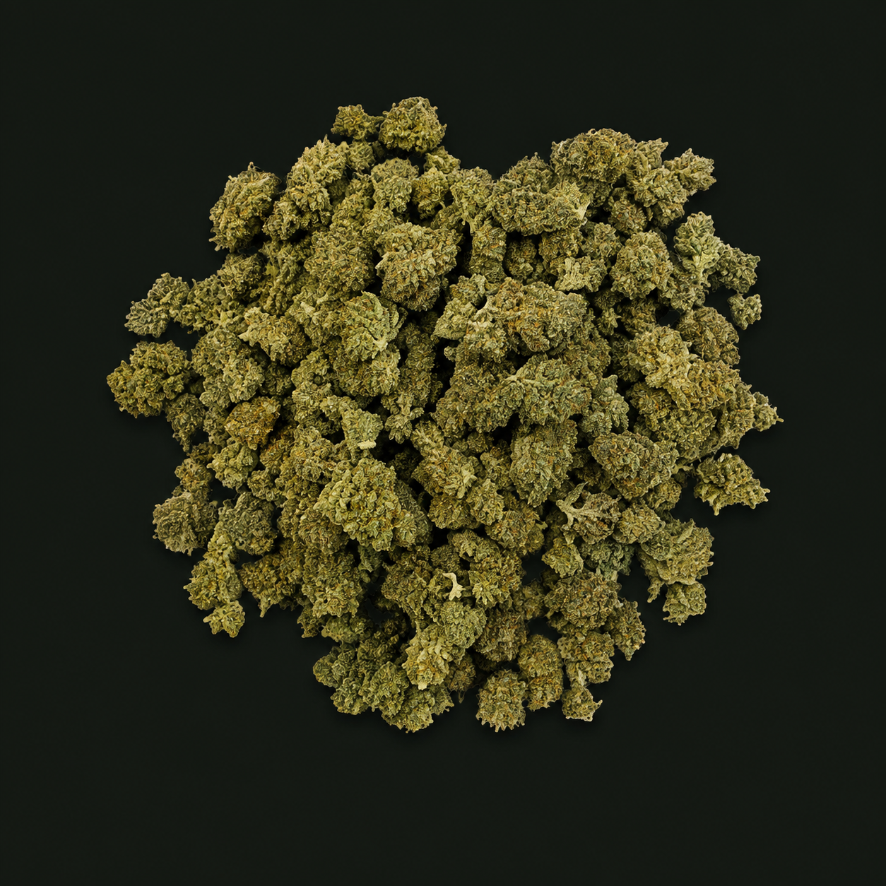 Small Bud Forbidden CBC